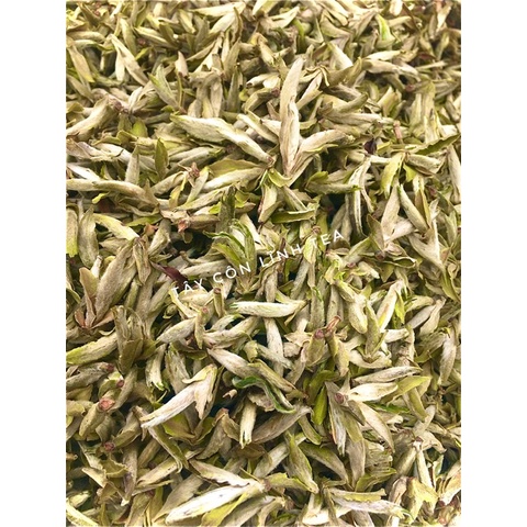 Bạch Trà Tiên Tây Côn Lĩnh - Hà Giang  quý hiếm nhất🍵🍃🍃🍃