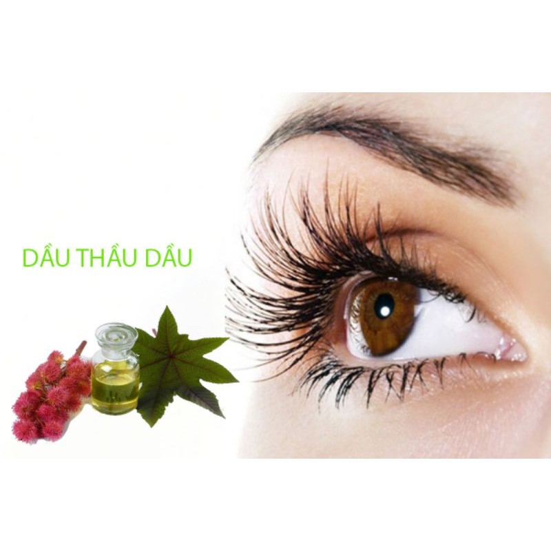 Mascara dầu castor & dầu dừa dưỡng mi, dưỡng lông mày 5ML