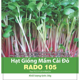 Hạt Giống Rau Mầm Cải Đỏ Rado 105 Gói 30g Giòn Ngọt, Nhanh Thu Hoạch