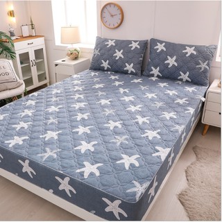 Ga chun trải giường cotton trần bông dày