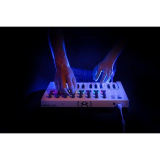 Đàn Midi Arturia Minilab MKII Midi Controller