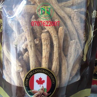 Nhân sâm Canada củ dài