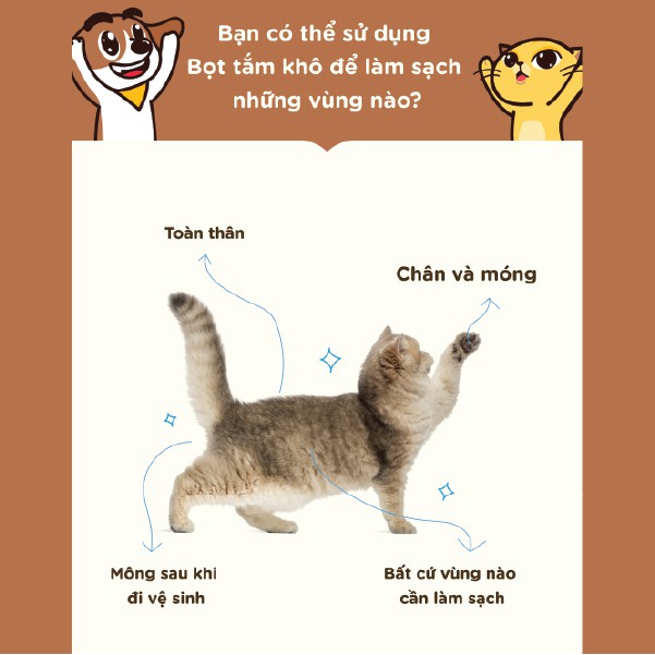 AN TOÀN 100% Bọt tắm khô dưỡng lông hương oải hương cho chó, mèo 320ml - Hana Pet