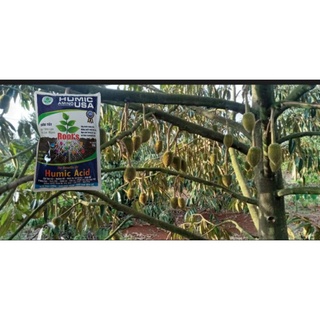 phân bón humic usa