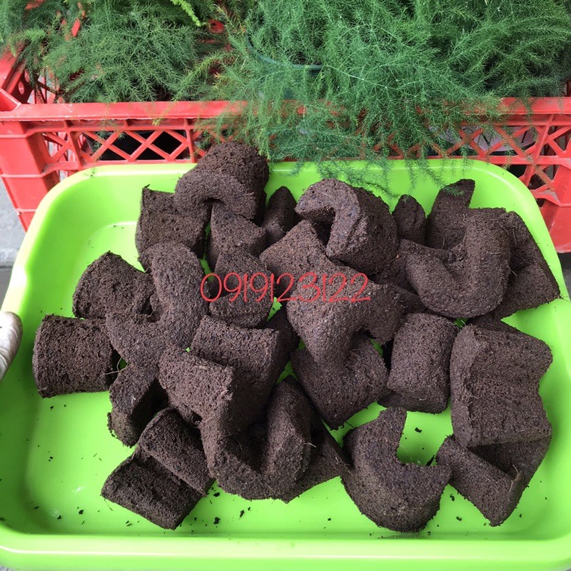 10 miếng mút ươm ki, mươm cây con nhập khẩu Hà Lan