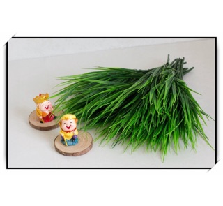 Cành mạ non( nhựa pvc)