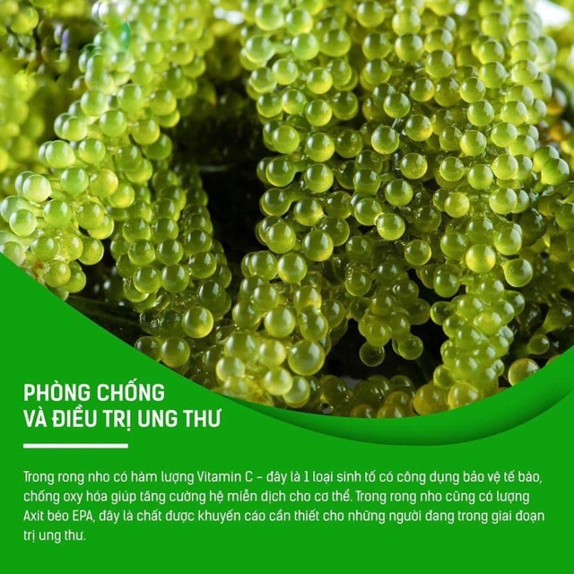 Rong Nho Tách Nước Hộp 250gr 🔥( 5 gói lớn ) + Tặng 1 chai mè Rang | BigBuy360 - bigbuy360.vn