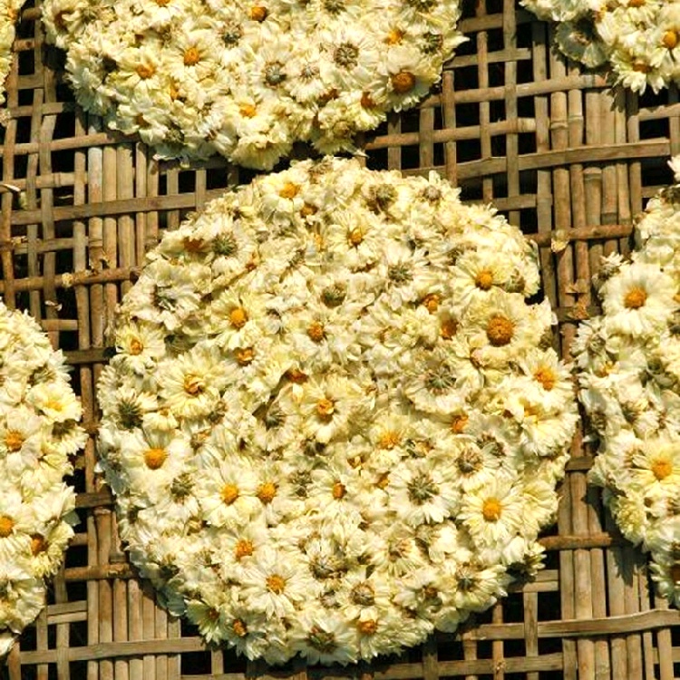 Hoa Cúc Trắng Sấy Khô Nấu Nước Mát (Dạng Bánh) Thanh Nhiệt Mùa Hè