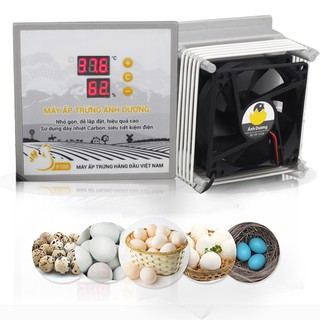 Máy ấp trứng gà ánh dương P100 bộ giá rẻ ấp bằng thùng xốp