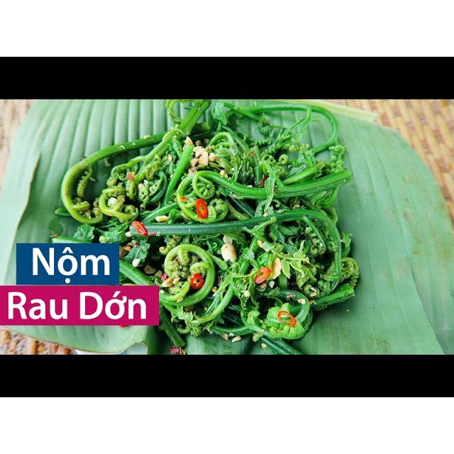 Giống cây rau dớn - Combo mua 10 tặng 3