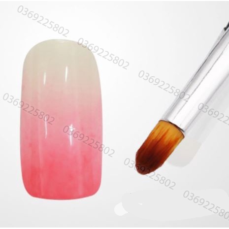 CỌ ĐA NĂNG 2 đầu, tạo OMBRE, đắp GEL , đắp BỘT