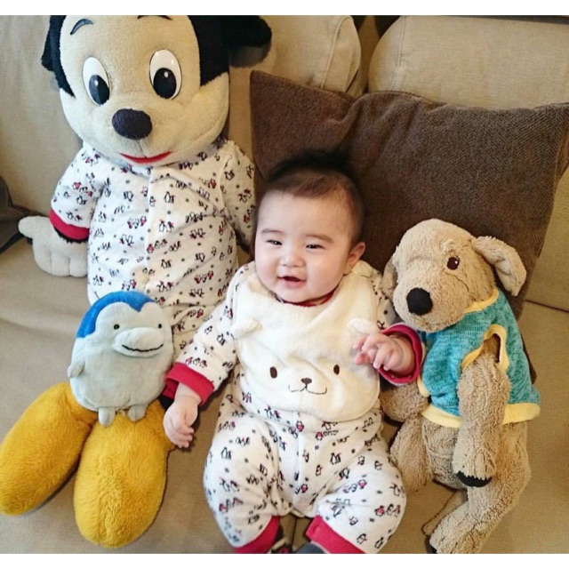 Chó bông ôm gold ikea mặc áo cute