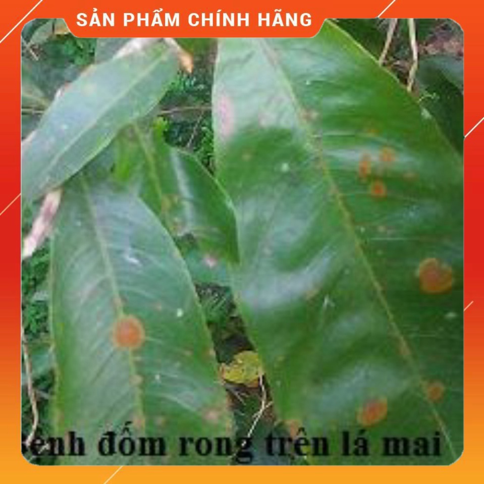 Thuốc trừ bênh Ridomil GOLD 100g - Sygenta . Nông Dược Xanh
