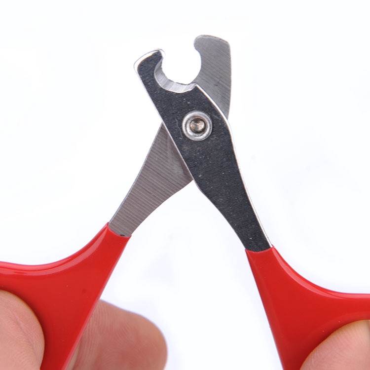 1 Dụng Cụ Cắt Móng Chân Cho Thú Cưng