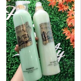 Dầu gội cặp garden 550ml