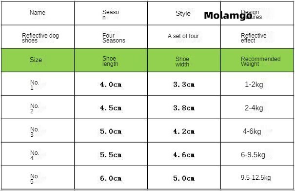 Giày Thể Thao Đế Mềm Thoáng Khí Họa Tiết Gấu Teddy Phản Quang Dễ Thương