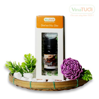 Tinh Dầu Vỏ Quế Nguyên Chất Vina Tươi 10ml - Khử Mùi Nhà Bếp, Mùi Hôi, Ẩm Mốc, Mùi Thuốc lá