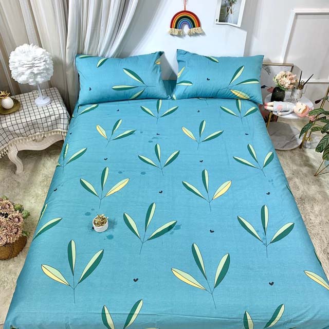 Bộ ga gối cotton 100% 3d gồm drap chun và 2 áo gối