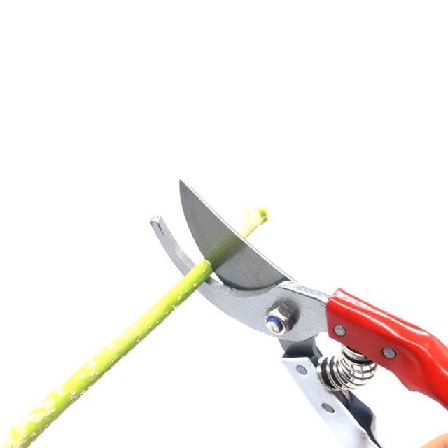 Kéo cắt cành sk5 cán đỏ trắng