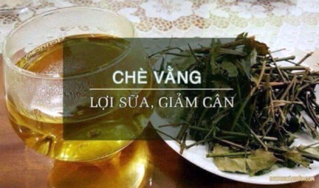 Chè vằng túi lọc Lục Quân 1 (1 bịch 80 túi lọc)