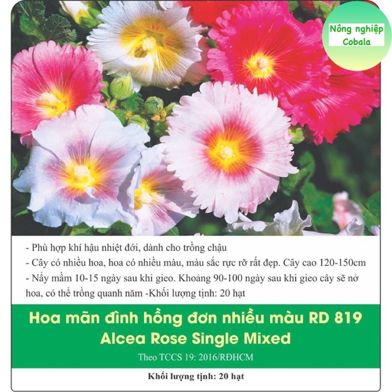 Hạt Giống Hoa Mãn Đình Hồng Đơn Nhiều Màu Gói 0.1gr