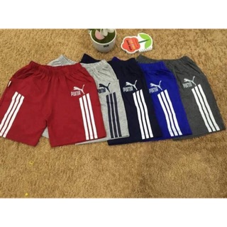 Combo sĩ quần Puma