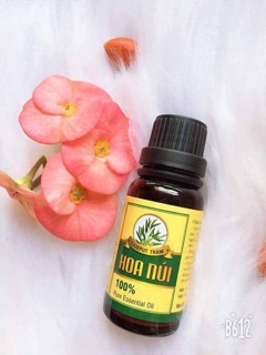 TINH DẦU TRÀM HOA NÚI