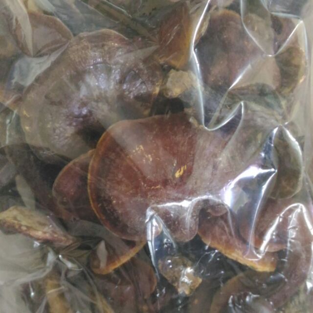 500g Nấm lim xanh nuôi trồng