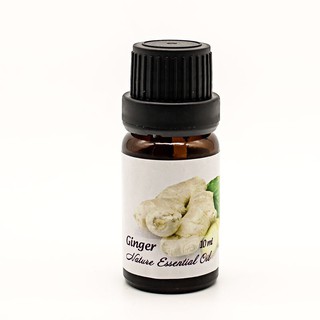 Tinh dầu Gừng Ấn Độ - Ginger - 10ml
