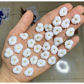 Hoa bột Nail - Hoa bột gắn móng nail [sẵn hàng]