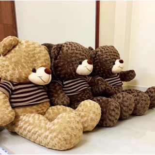 Gấu bông teddy khổ 1m