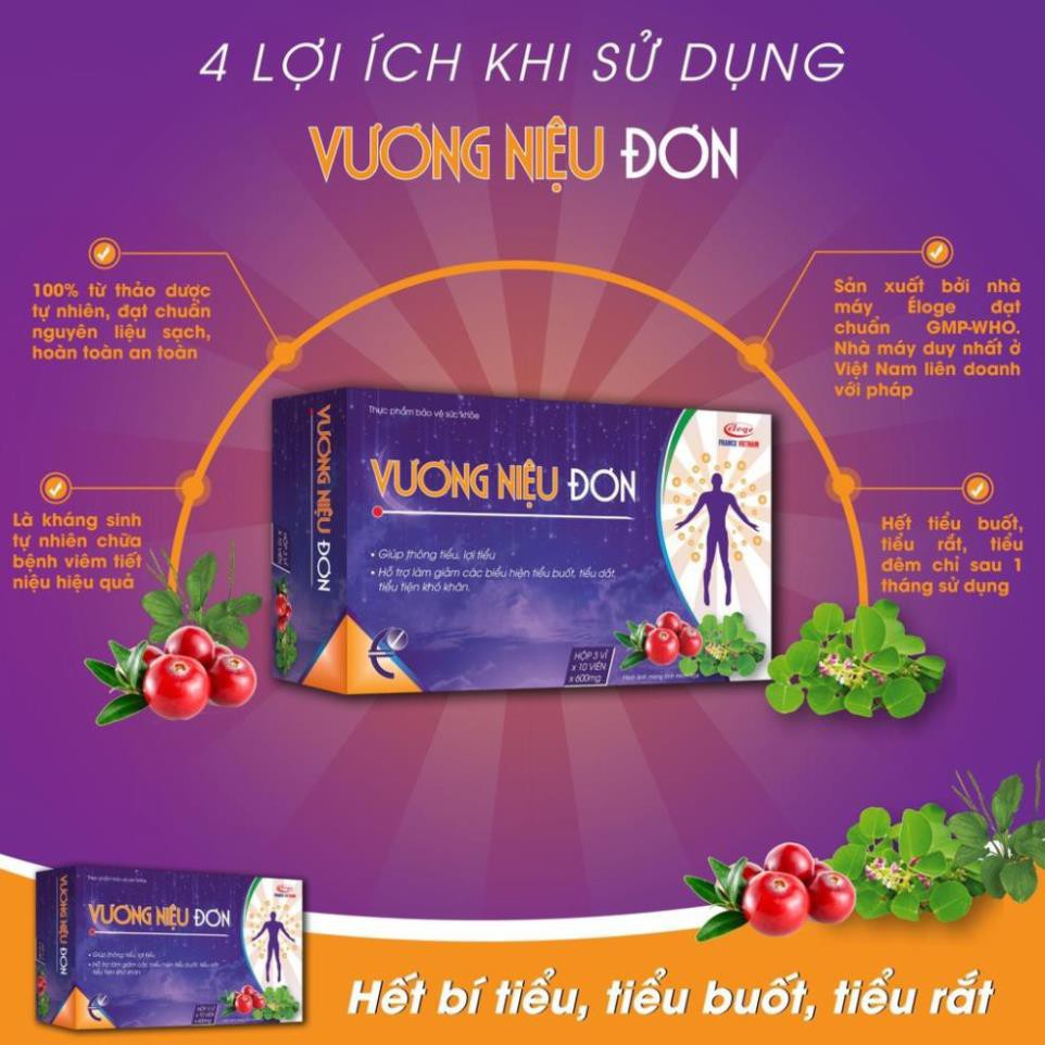 Vương niệu đơn – Hỗ trợ làm giảm triêu chứng tiểu buốt, tiểu đục, bí tiểu (hộp 30 viên)