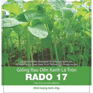 Hạt giống dền xanh lá tròn rado 17 20gr