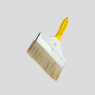 Cây Cọ Bản Thanh Bình 8 Inch