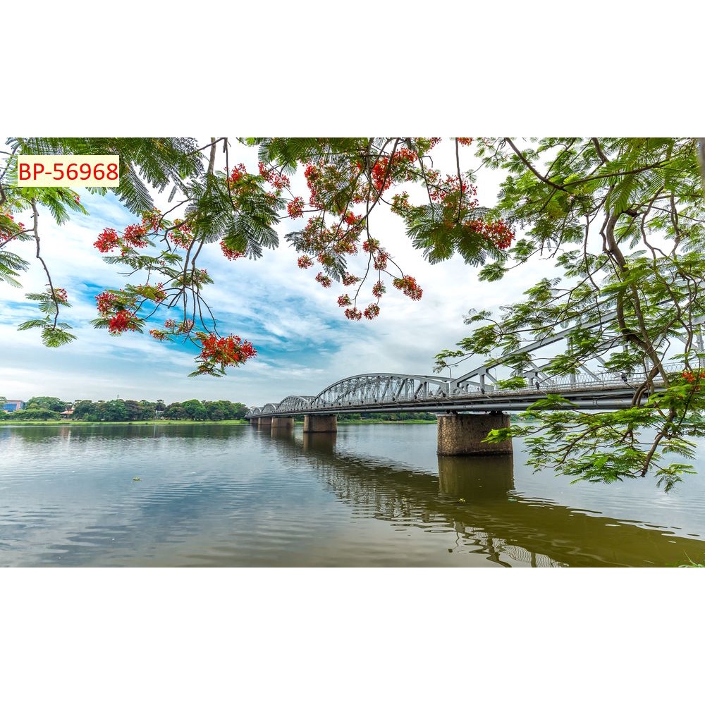 Tranh dán tường miền sông nước, cầu đẹp, hoàng hôn Việt Nam 3D in theo kích thước yêu cầu – Không giới hạn kích thước.