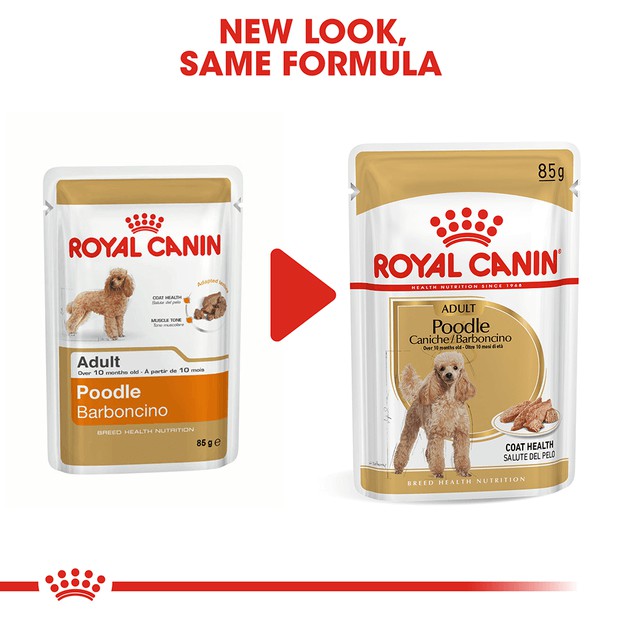 Pate Poodle Adult 85g Pháp Royal Canin siêu dinh dưỡng SUPERPETS VIỆT NAM