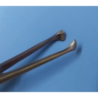 Kẹp răng chuột Pakistan các size