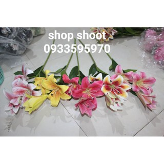 HOA LILY CAO SU TRANG TRÍ NHÀ