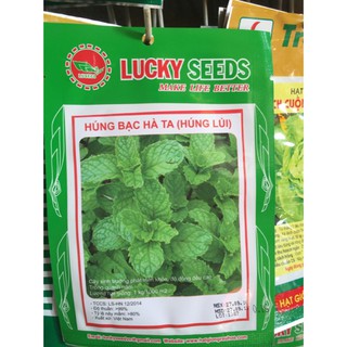 HẠT GIỐNG HÚNG BẠC HÀ GÓI 0,1G