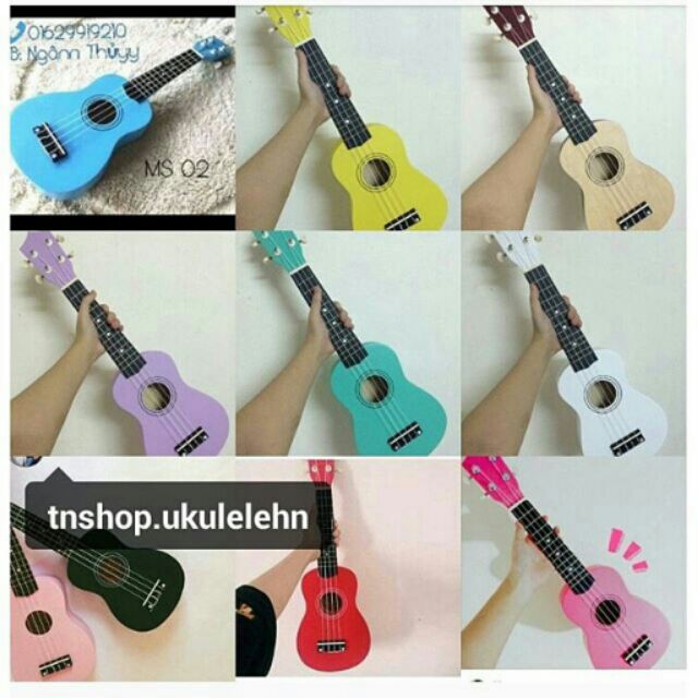 Ukulele everfun