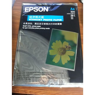 Combo 11 xấp in ảnh kodak đl 230 (20 tờ/xấp)