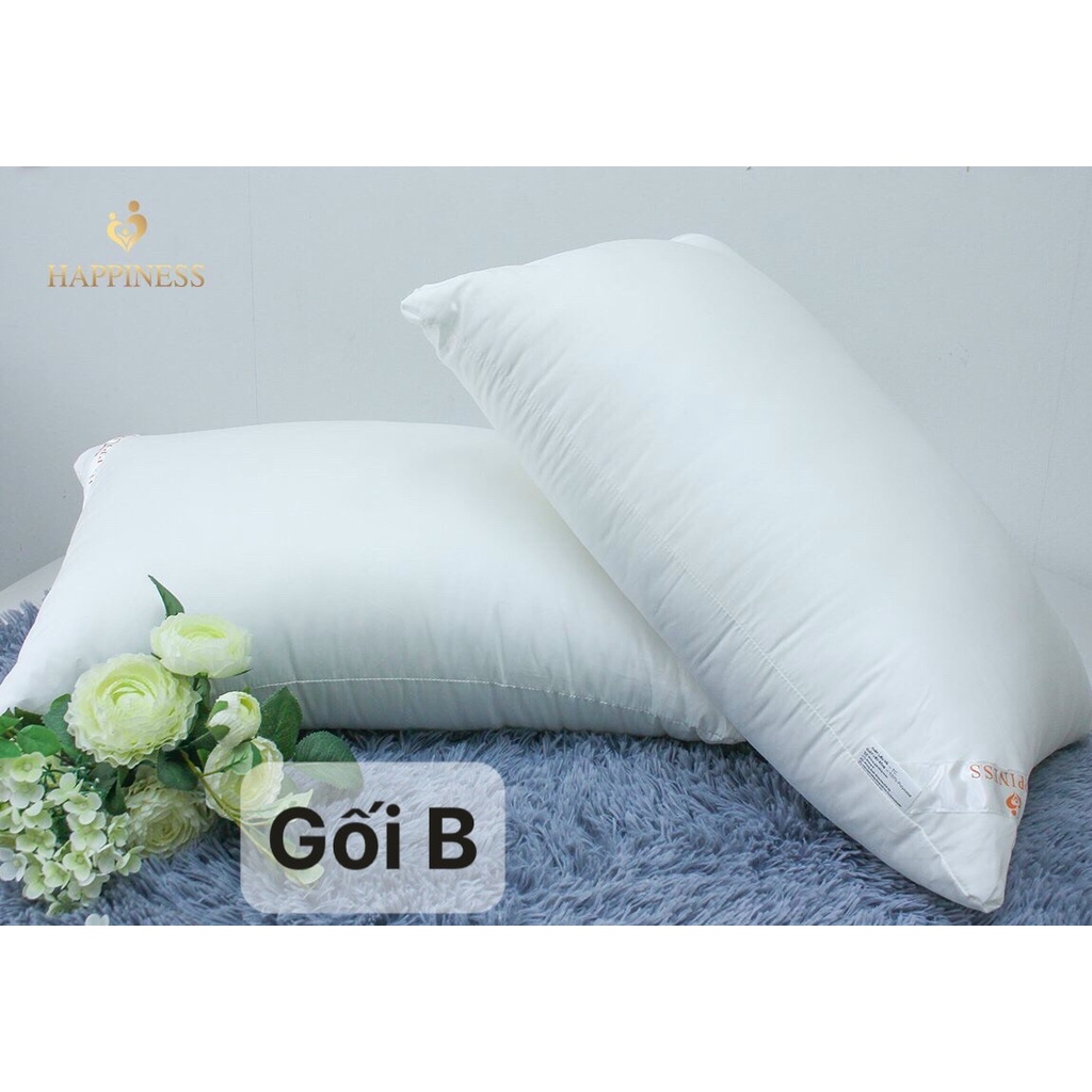 Ruột Gối Nằm Happiness Hàng Chính Hãng Kích Thước 45x65cm - 1 Đôi - 2 Ruột