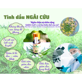 Tinh dầu ngải cứu 10ml