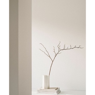 Nhánh cây khô trang trí, decor