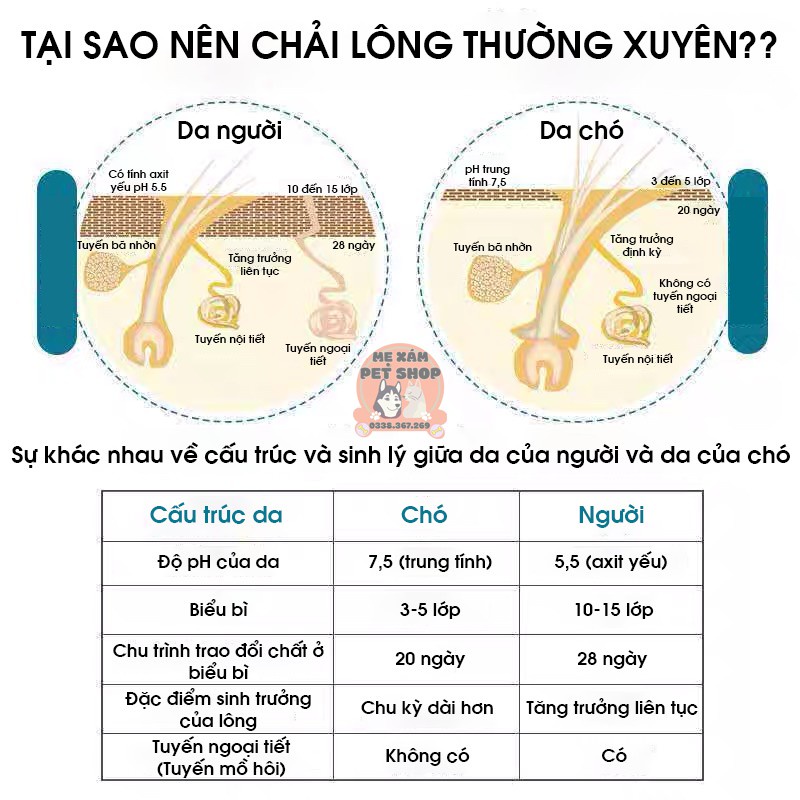 Ship hoa tốc - Lược chải lông cho chó mèo - Lược bấm nút đẩy lông
