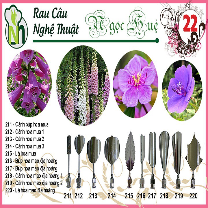 Dụng cụ làm thạch rau câu 3D Ngọc Huệ (bộ số 22 - hoa mua, hoa mao địa đàng)