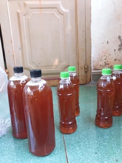 Mật ong hoa cà phê Đak Lak 1 lít