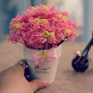 Lọ hoa Babi Bloom để bàn nhỏ