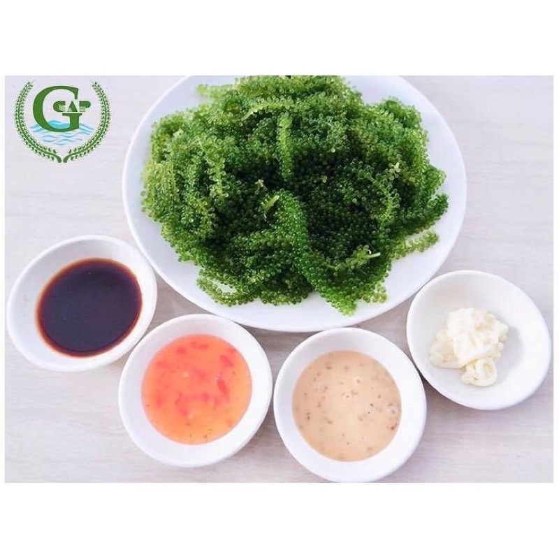 [Sale] Hộp 100g (5gói 20g) Rong Nho Tách Nước GREEN FOOD, Rong Nho Khánh HòaTươi Ngon, Bổ Dưỡng, Tốt Cho Sức Khỏe