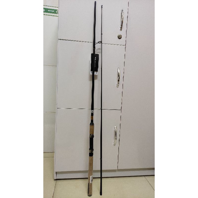Cần câu lure 2 khúc Daiwa Sweepfire gắn máy đứng